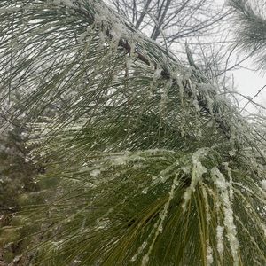 Meet your Posher, Lillian